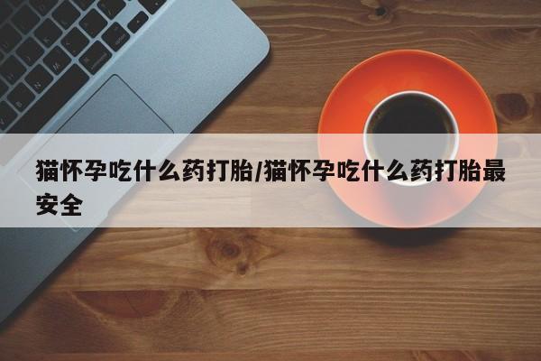 正品堕胎药咨询购买猫怀孕吃什么药打胎/猫怀孕吃什么药打胎最安全