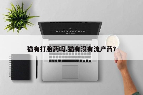 正品堕胎药咨询购买猫有打胎药吗.猫有没有流产药？