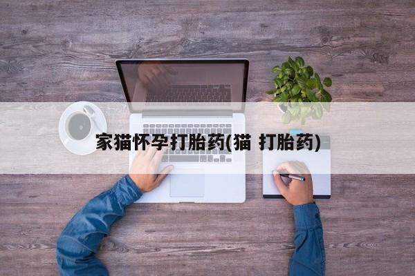 正品堕胎药咨询购买家猫怀孕打胎药(猫 打胎药)